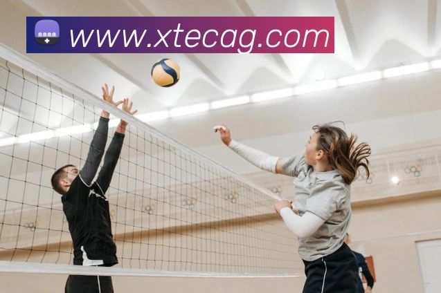 ag官网发展历程